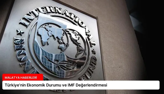 Türkiye’nin Ekonomik Durumu ve IMF Değerlendirmesi