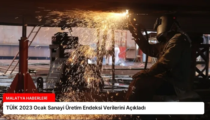 TÜİK 2023 Ocak Sanayi Üretim Endeksi Verilerini Açıkladı