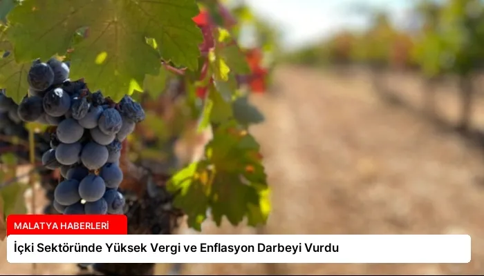 İçki Sektöründe Yüksek Vergi ve Enflasyon Darbeyi Vurdu