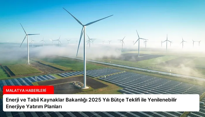Enerji ve Tabii Kaynaklar Bakanlığı 2025 Yılı Bütçe Teklifi ile Yenilenebilir Enerjiye Yatırım Planları