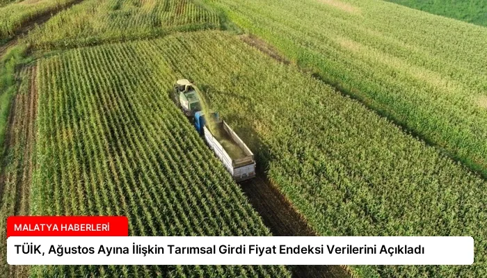 TÜİK, Ağustos Ayına İlişkin Tarımsal Girdi Fiyat Endeksi Verilerini Açıkladı