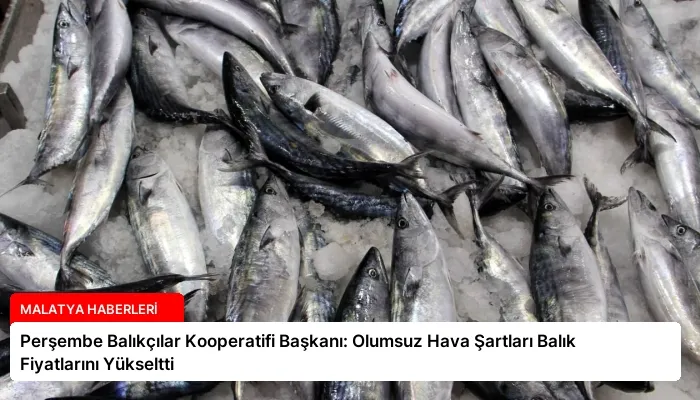 Perşembe Balıkçılar Kooperatifi Başkanı: Olumsuz Hava Şartları Balık Fiyatlarını Yükseltti