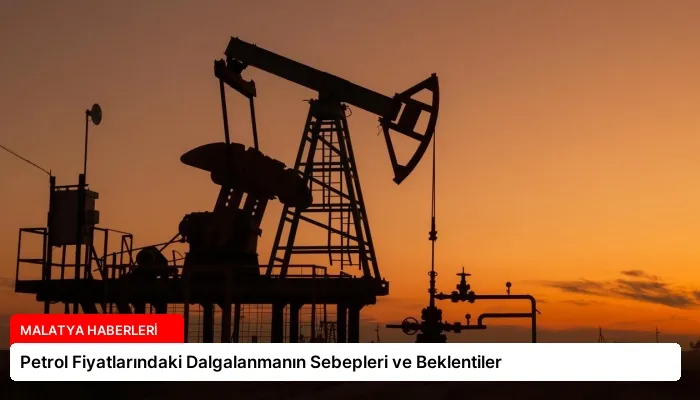 Petrol Fiyatlarındaki Dalgalanmanın Sebepleri ve Beklentiler