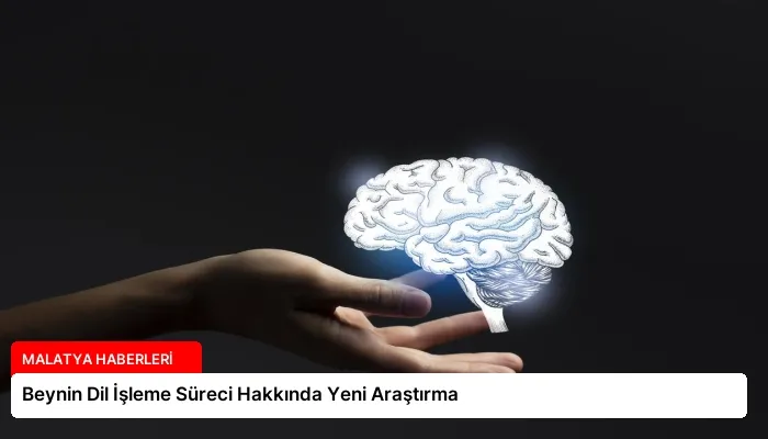 Beynin Dil İşleme Süreci Hakkında Yeni Araştırma
