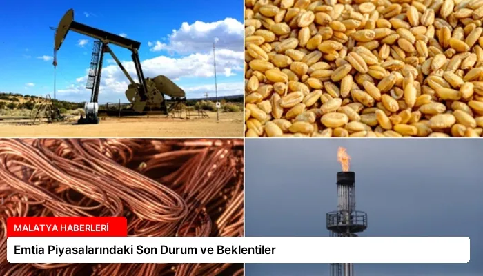 Emtia Piyasalarındaki Son Durum ve Beklentiler