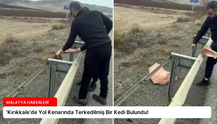 ‘Kırıkkale’de Yol Kenarında Terkedilmiş Bir Kedi Bulundu!