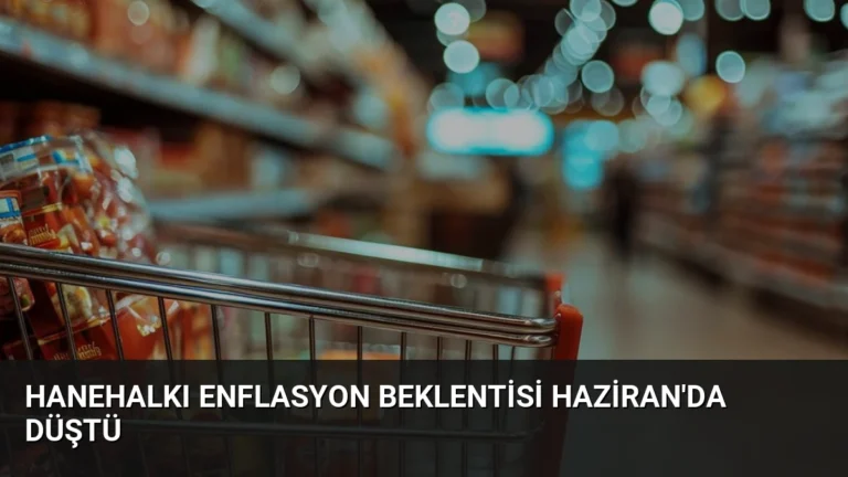 Hanehalkı Enflasyon Beklentisi Haziran’da Düştü