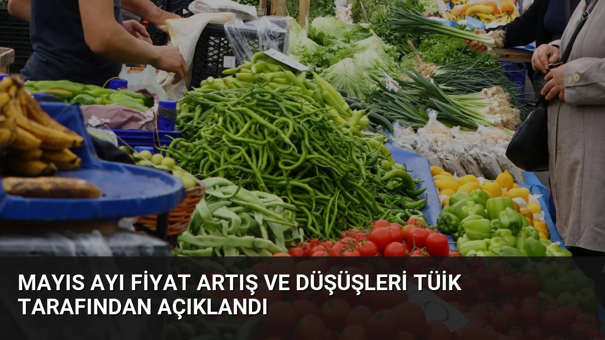 Mayıs Ayı Fiyat Artış ve Düşüşleri TÜİK Tarafından Açıklandı