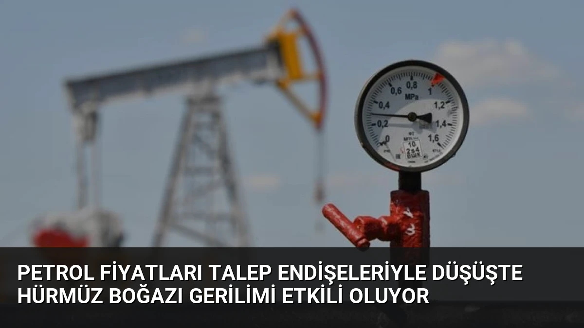 Petrol Fiyatları Talep Endişeleriyle Düşüşte Hürmüz Boğazı Gerilimi Etkili Oluyor