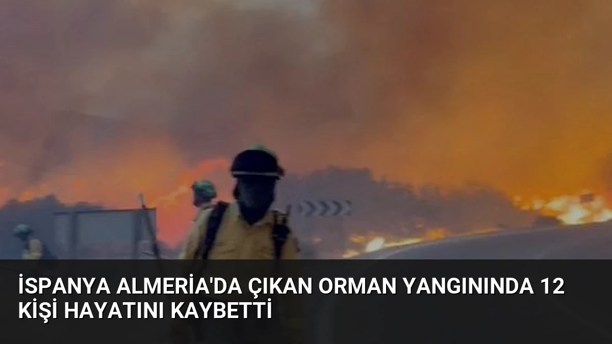 İspanya Almeria’da Çıkan Orman Yangınında 12 Kişi Hayatını Kaybetti