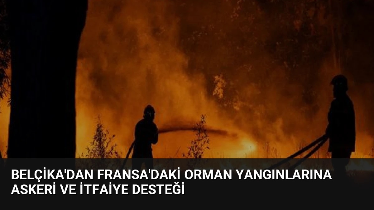 Belçika’dan Fransa’daki Orman Yangınlarına Askeri ve İtfaiye Desteği