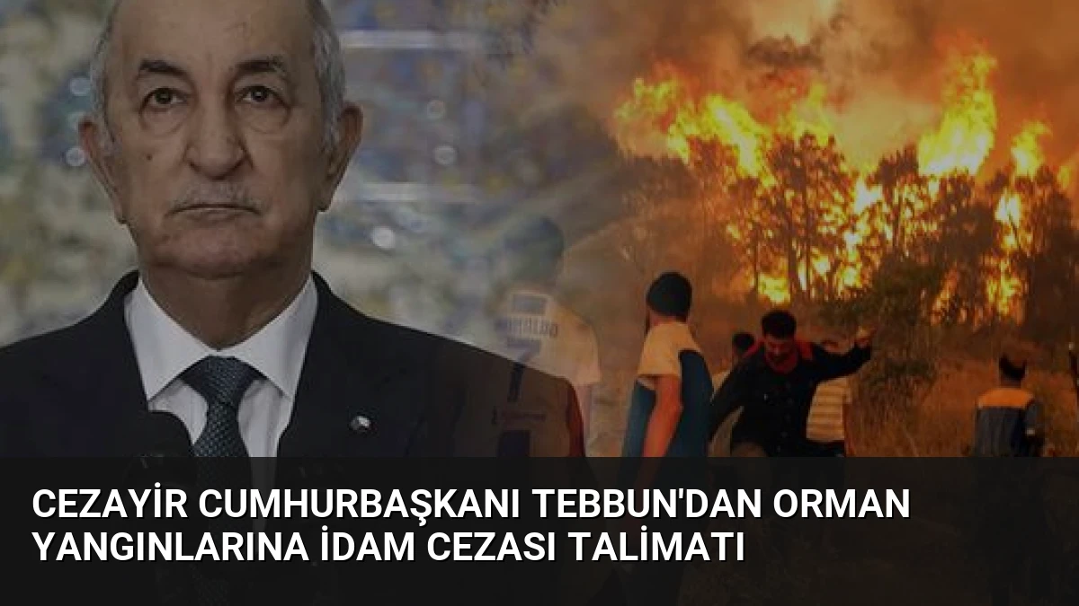 Cezayir Cumhurbaşkanı Tebbun’dan Orman Yangınlarına İdam Cezası Talimatı