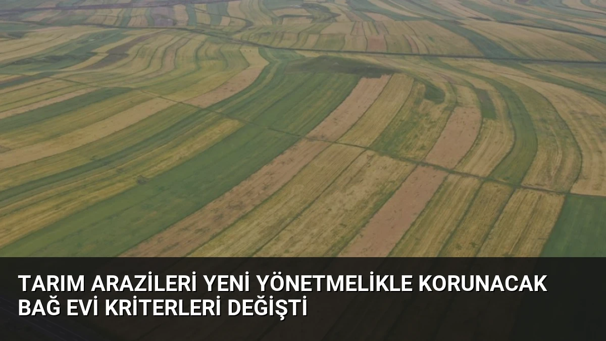 Tarım Arazileri Yeni Yönetmelikle Korunacak Bağ Evi Kriterleri Değişti