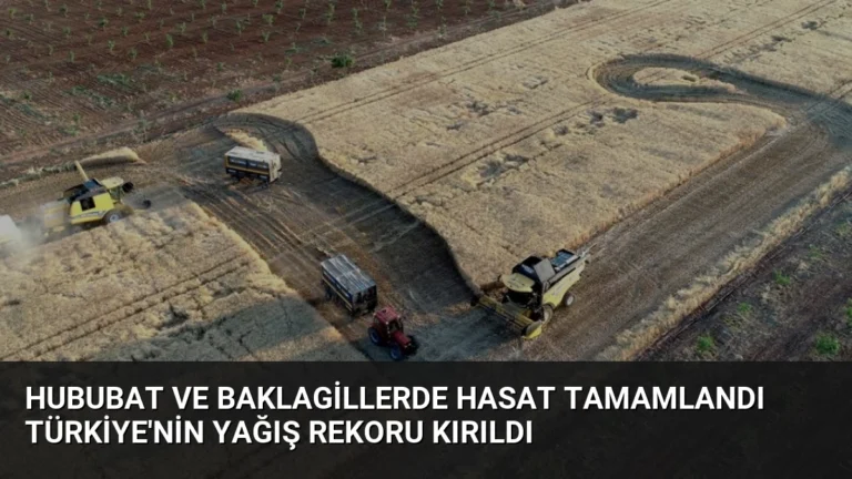 Hububat ve Baklagillerde Hasat Tamamlandı Türkiye’nin Yağış Rekoru Kırıldı