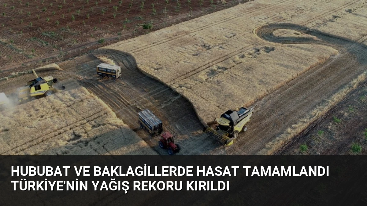 Hububat ve Baklagillerde Hasat Tamamlandı Türkiye’nin Yağış Rekoru Kırıldı