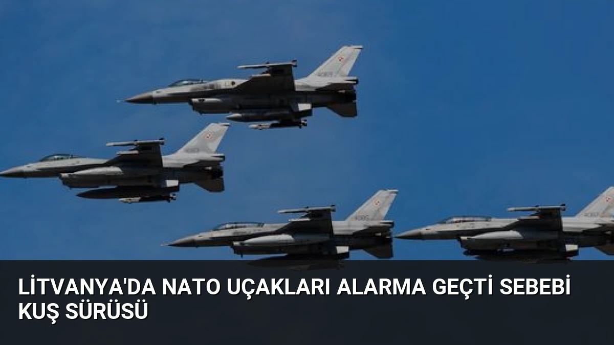 Litvanya’da NATO Uçakları Alarma Geçti Sebebi Kuş Sürüsü