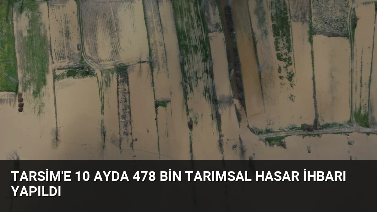 TARSİM’e 10 Ayda 478 Bin Tarımsal Hasar İhbarı Yapıldı