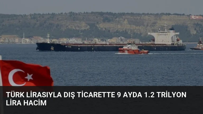 Türk Lirasıyla Dış Ticarette 9 Ayda 1.2 Trilyon Lira Hacim